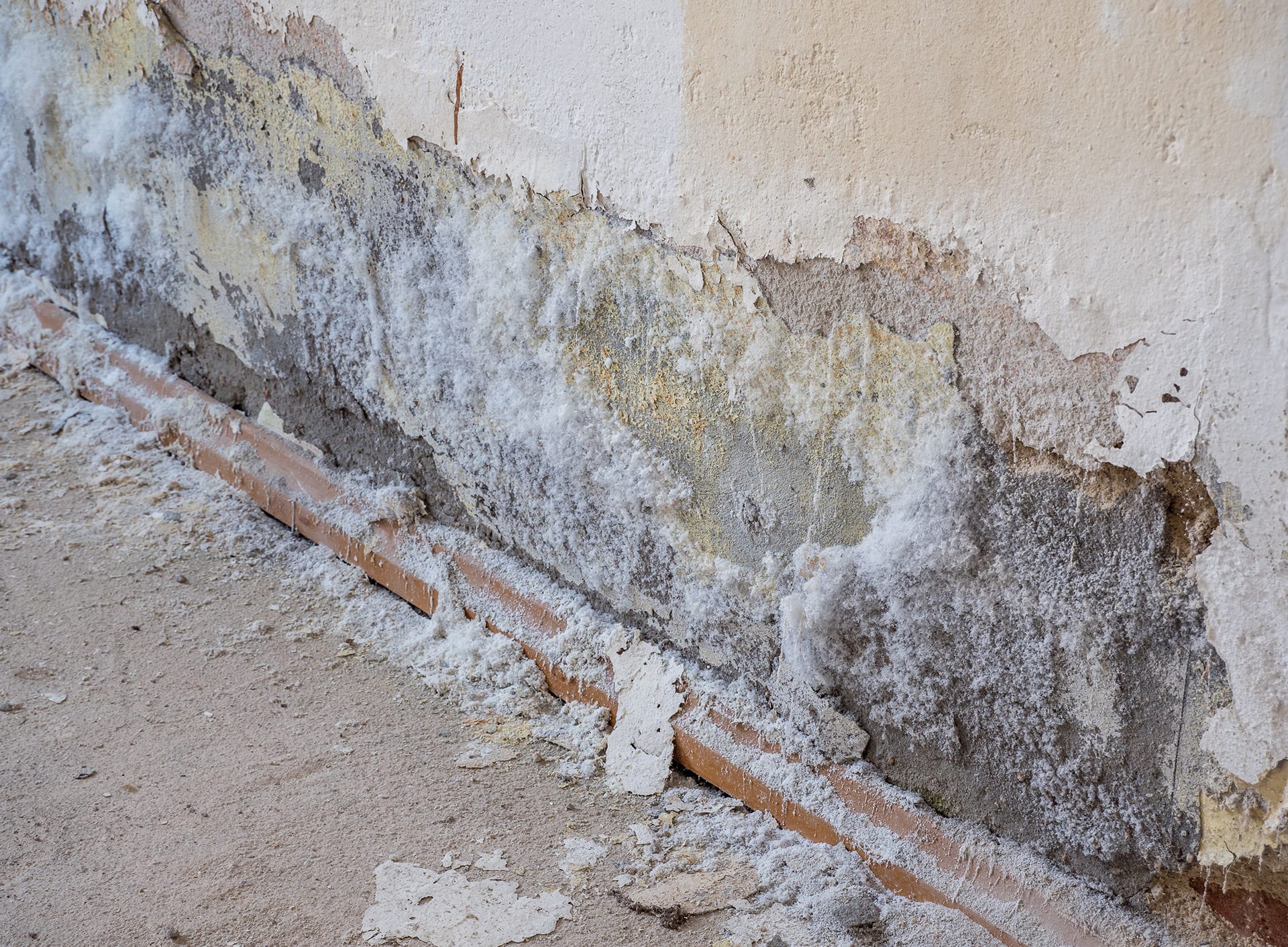 Hygroskopische Feuchte